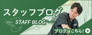 スタッフブログ